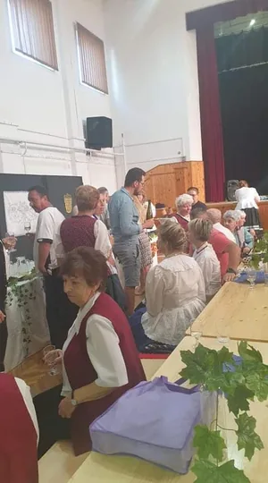 Fotók: