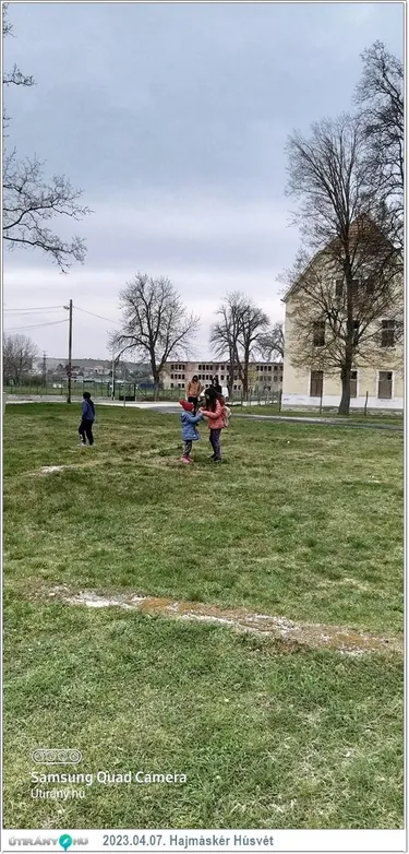 Keresd A Nyuszit! Családi Nap