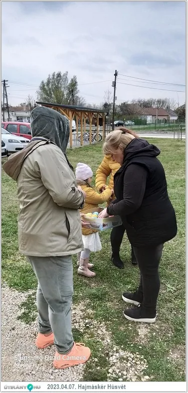 Keresd A Nyuszit! Családi Nap
