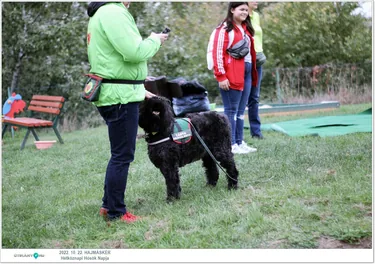 Hétköznapi hősök napja 