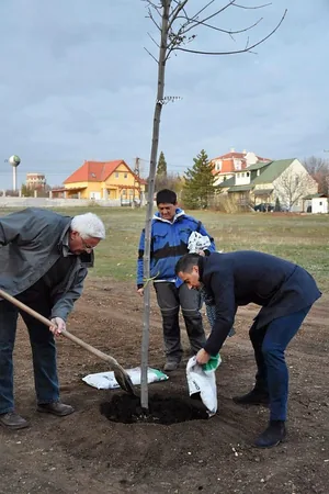 Fotók: