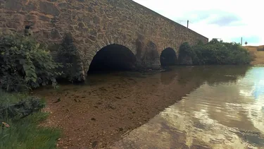 Galéria