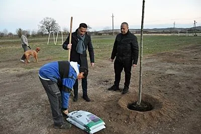 Fotók: