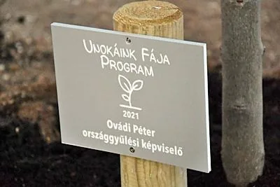 Fotók: