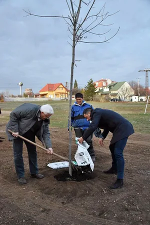 Fotók: