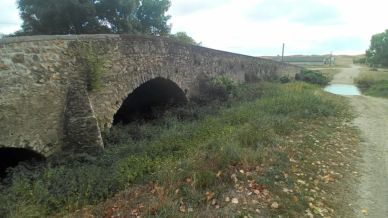 Képek 2021