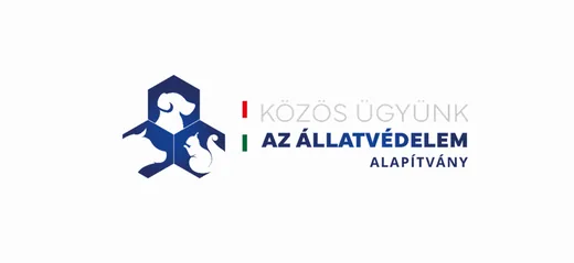 'Kutyafuttató kerül kialakításra a Közös ügyünk az állatvédelem Alapítvány támogatásával' cikk borítóképe