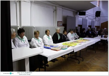 Szőlő és Bor Ünnep