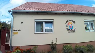 Grafikai elem