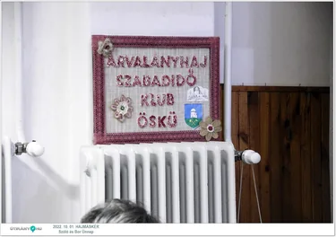 Szőlő és Bor Ünnep