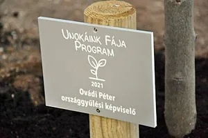 Fotók: