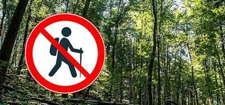 Erdő látogatásának korlátozása borítóképe
