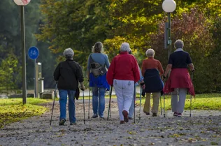 INGYENES 10 alkalmas Nordic Walking edzés borítóképe