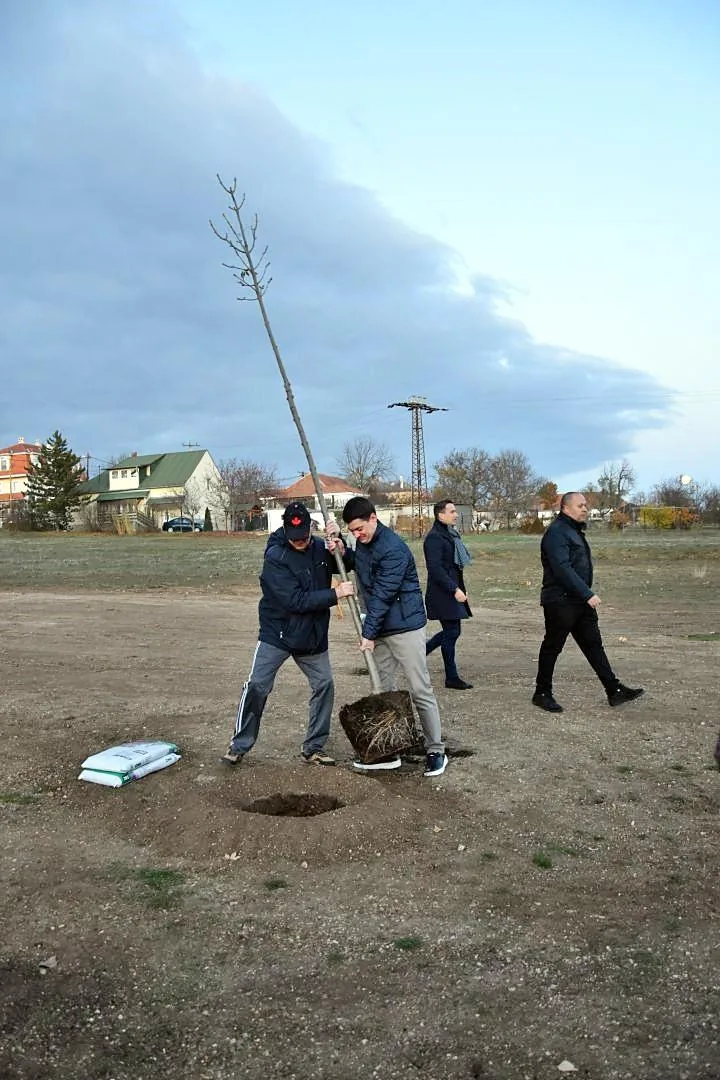 Fotók: