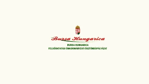 'Felhívás Bursa Hungarica pályázatra' cikk borítóképe