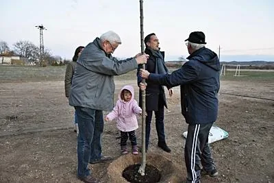 Fotók:
